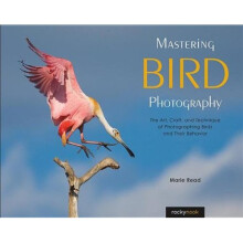Mastering Bird Photography