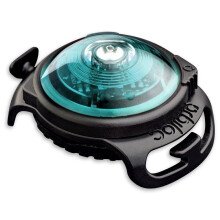(One Size, Turquoise) Orbiloc Dog Safety Light