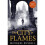 The City in Flames 1