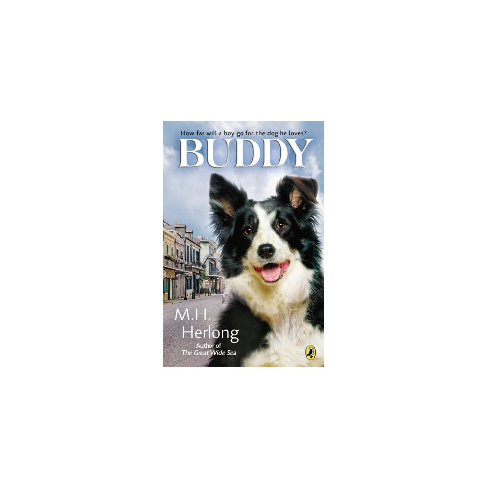 Buddy