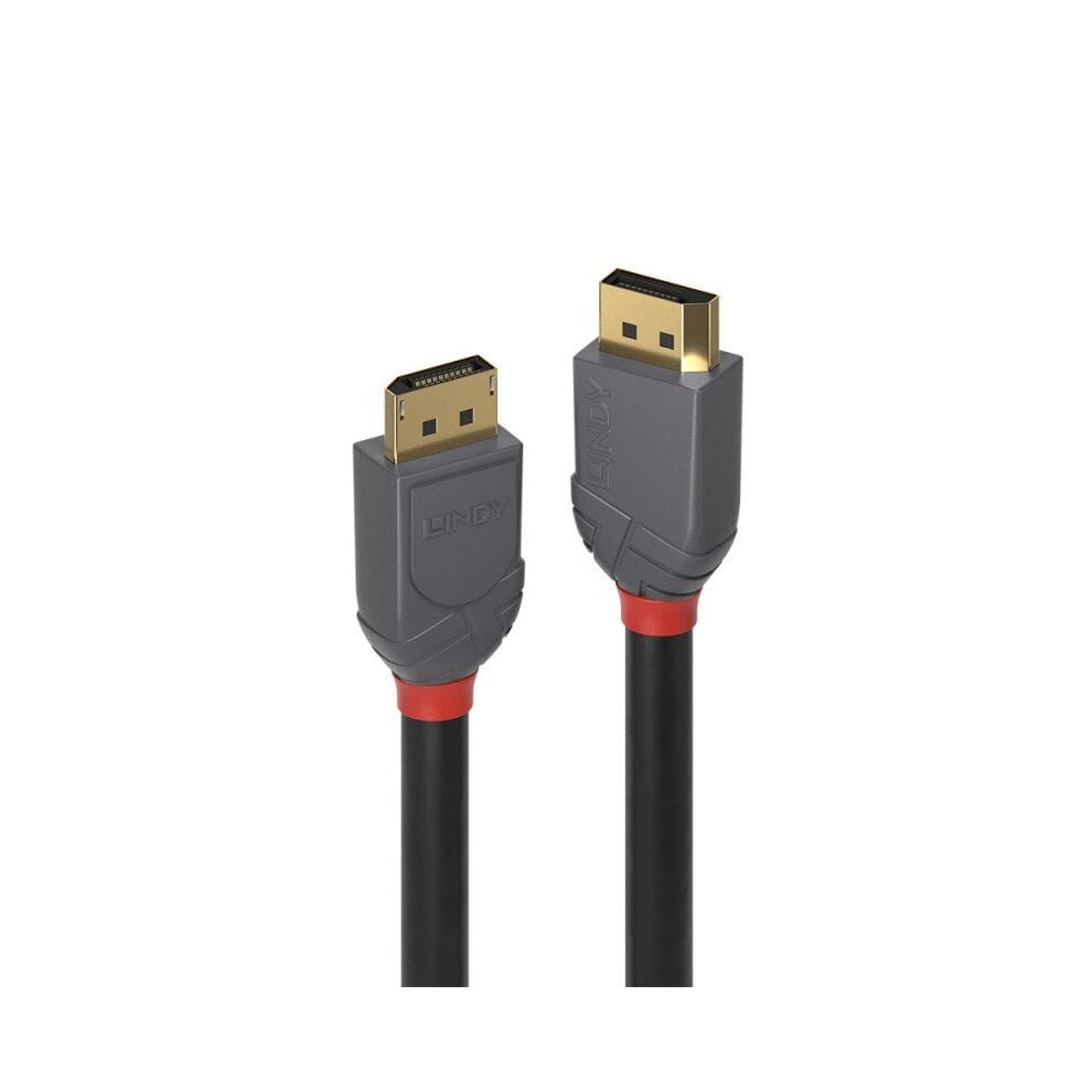 Lindy 36484 Displayport Cable 1 M Black/Grey 4002888364843