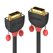Lindy 36256 DVI cable 2 m DVI-D Black