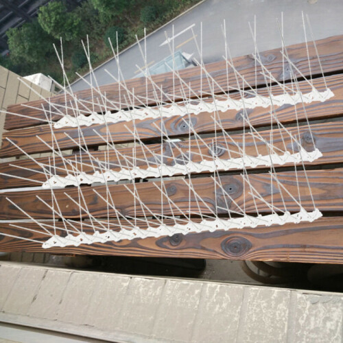 5M Πακέτο 10 αντιπνευμονικών καρφιών Pigeon Scarer Wall Fence Deterrent Repeller Ηνωμένο Βασίλειο 1