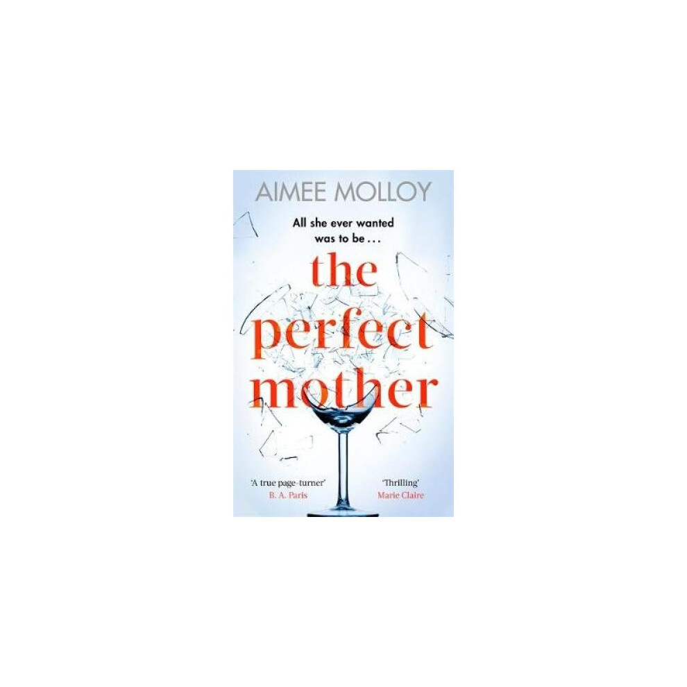 The Perfect Mother