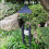 Remarkable Wind Chimes Solar Powered Colour Changing Led Light Garden Windchimes 6
