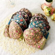 High quality Women Seamless Underwear Modal Comfortable Lovely Bra Set Floral Bra Brief Sets Sexy Bra + Panties