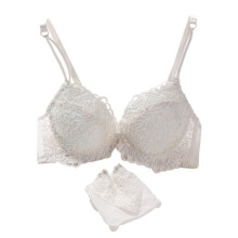 Women\'s Bras Sexy Flower Embroidery Lace Push Up Bra Set Underwire Lingerie+Knickers Panties underwear female Sets