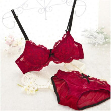 2017 New Women Girls Lace Sexy Floral Satin Bra Set High Quality Bra And Panty French Romantic Intimate Brassiere Sets
