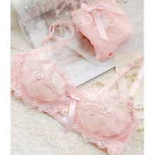 SESERIA Women Embroidery Underwear Push Up Bra Set Top Women Ultrathin transparent Sexy Lace Panties And Bra Sets