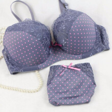 Oioninos 2017 Fashion Women Dot Lace Bra Set Push Up Plunge Bra Sexy Panty Set Feamle bralette Underwear Sets