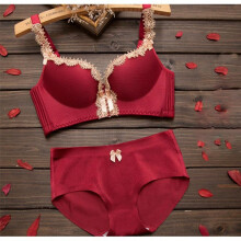 Female Lingerie Women Push Up Bra Set Sexy Deep V Lace Bra Set Underwear Sets Seamless Bras and Panties Set Women Intimates