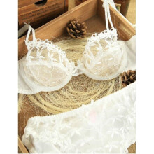 Noble Embroidery Lace Ultra-thin Bra & brief sets Intimates,Women Push Up Bras and Sexy Panties Conjunto Calcinha e Sutia BS278