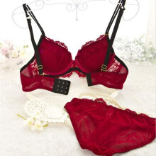 Sexy Women Lace Embroidery Bra Sets Underwear Panties Lingerie Bra Set 2 Pcs