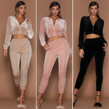 2017 new women Autumn Spring Sporting Suit Women\'s Slim Long-Sleeved Fashion Velvet Suit two piece set sportswear women suit