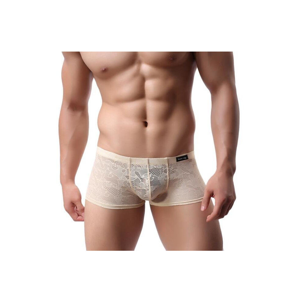 Black Men Underwear Lace Sexy Translucent Boxer Briefs Breathable Underpants Bgl