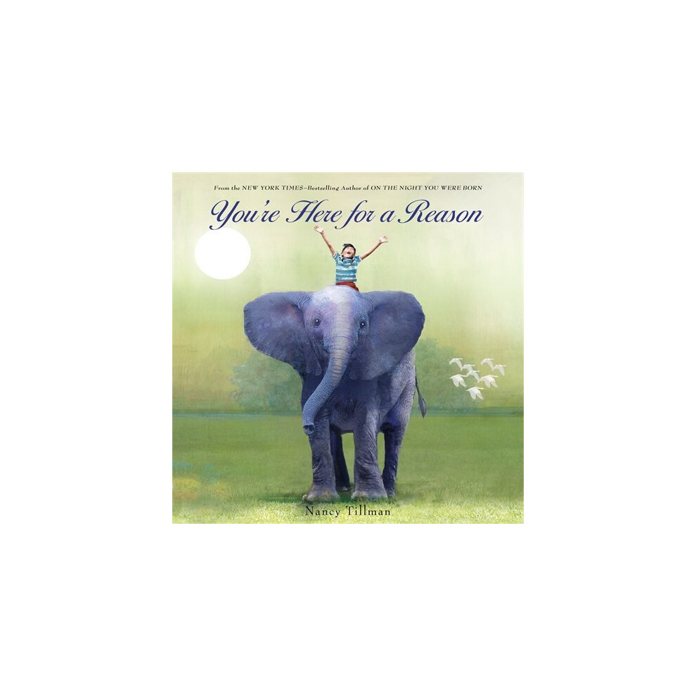 You're Here for a Reason (Nancy Tillman Collection)