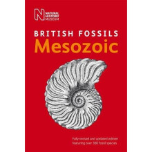 British Mesozoic Fossils (British Fossils)