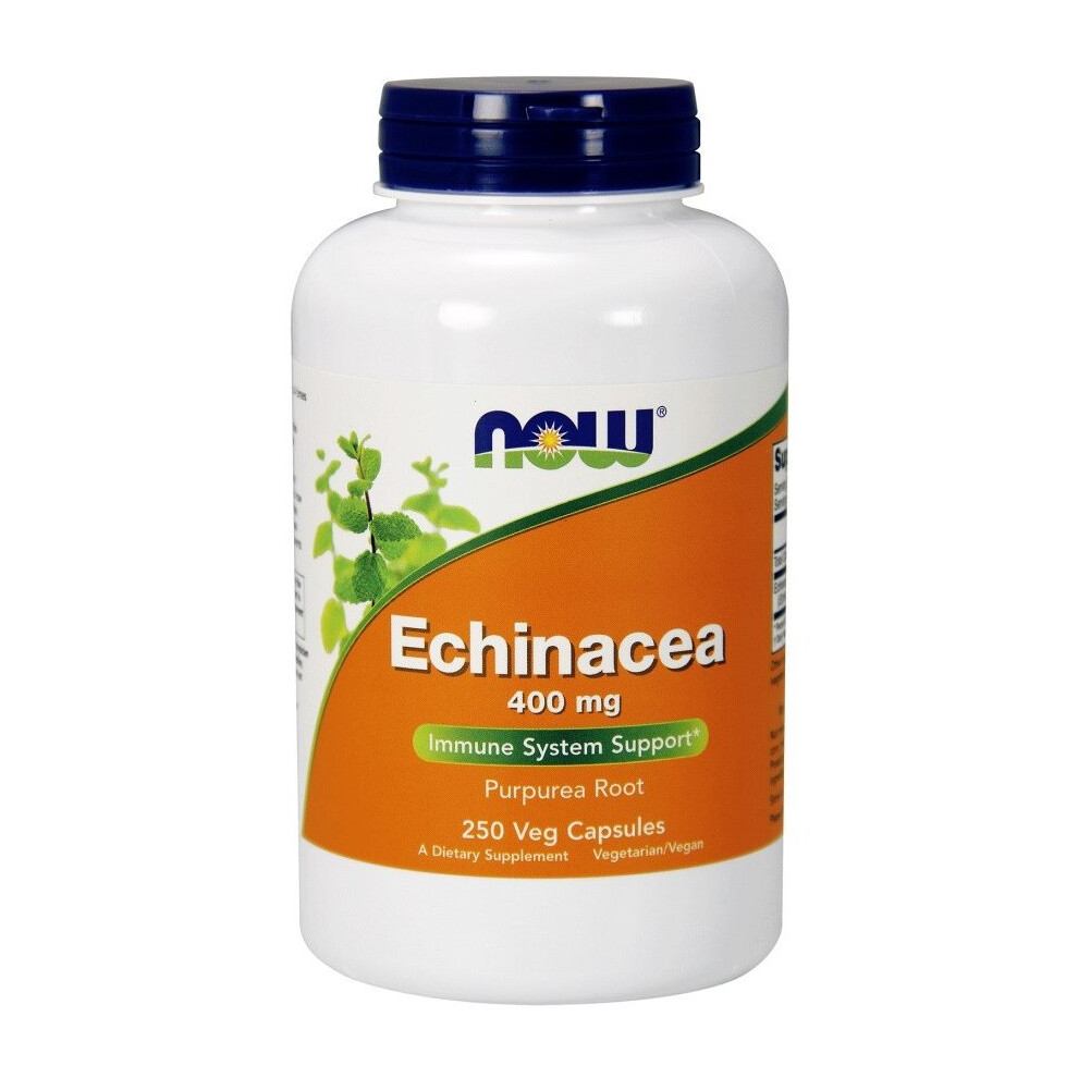 Now Foods Echinacea, 400Mg 250 Vcaps
