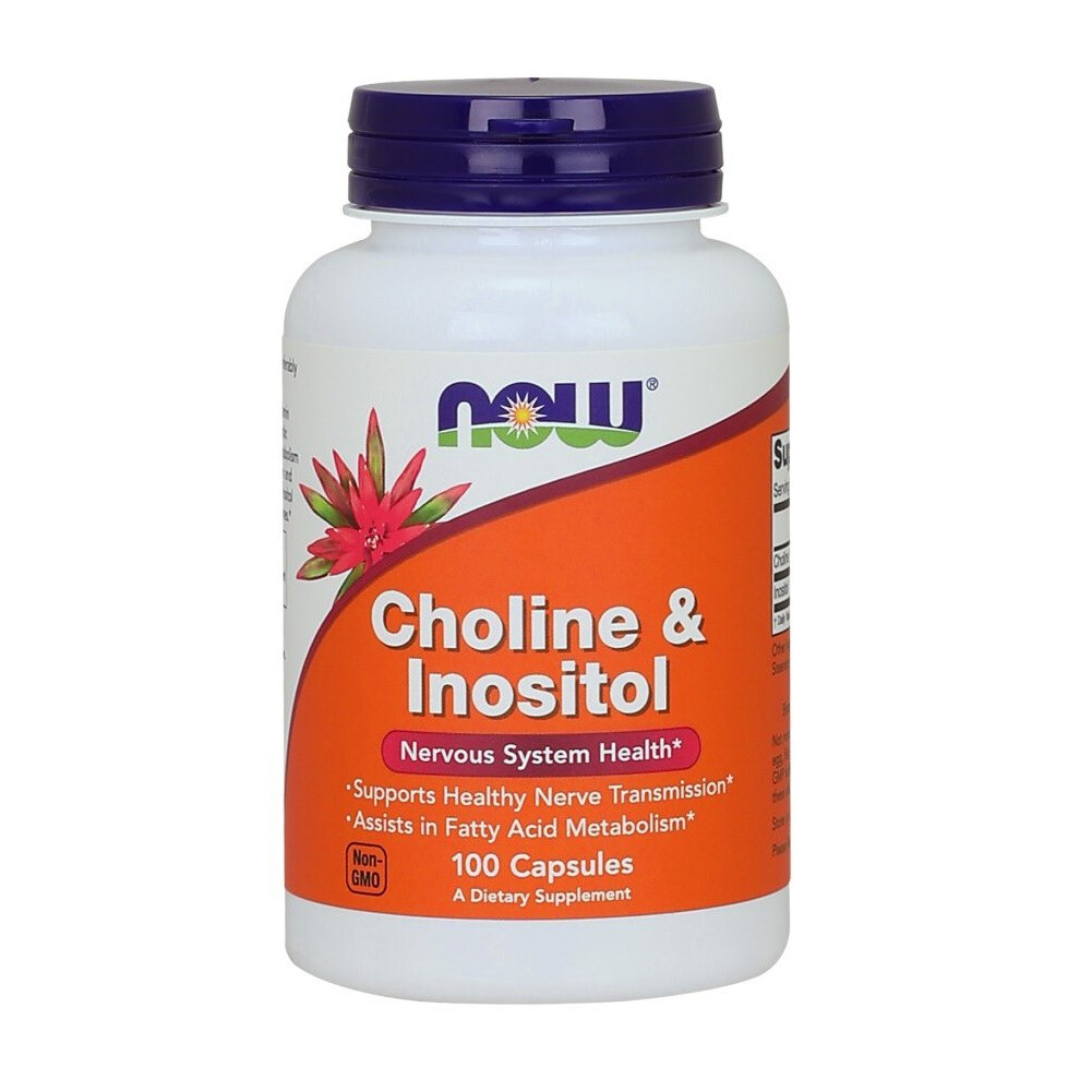 Now Foods Choline And Inositol, 500Mg - 100 Caps
