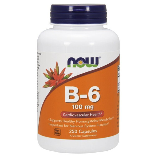 NOW Foods NOW Foods, Β-6, 100 mg, 250 Veg Κپسούλες