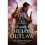 The Lost Outlaw (Jack Lark, Book 8) 1