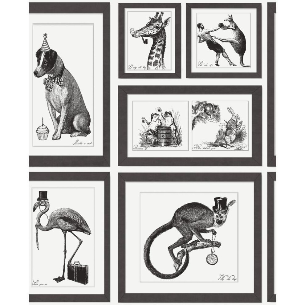 Holden Decor Mad Dogs 97920 Wallpaper | Framed Animals Wallpaper 5022976979215
