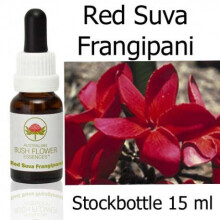 RED SUVA FRANGIPANI 15 ml Australian Bush Flower Essences Stockbottles