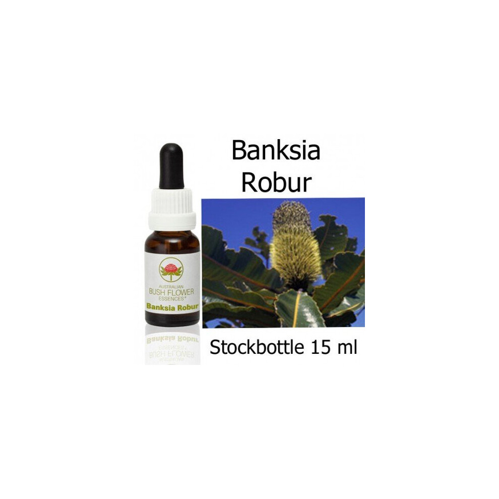 Australische Buschblã¼Ten Banksia Robur Australian Bush Flower Essences Stockbottles 15 Ml