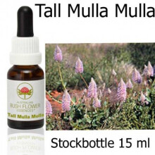 TALL MULLA MULLA 15 ml Australian Bush Flower Essences Stockbottles