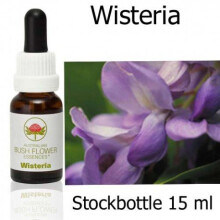STOCKBOTTELS 15 ml Australian Bush Flower Essences - Wisteria 15 ml Australian Bush Flower Essences Stockbottle