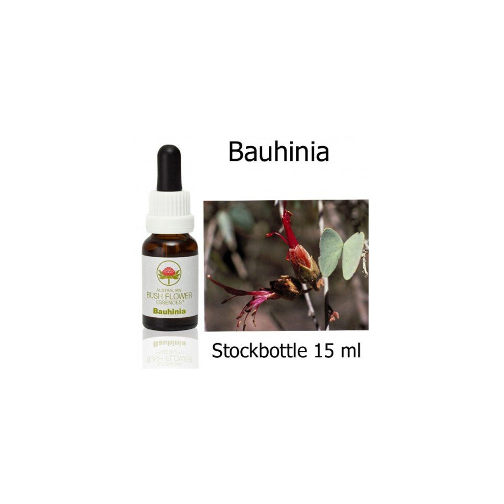 Australische Buschblã¼Ten Bauhinia Australian Bush Flower Essences Stockbottles 15 Ml