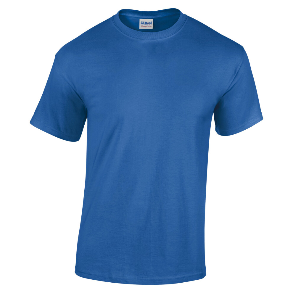 Gildan (L, Royal) Youth Unisex Heavy Cotton T-Shirt Multicoloured