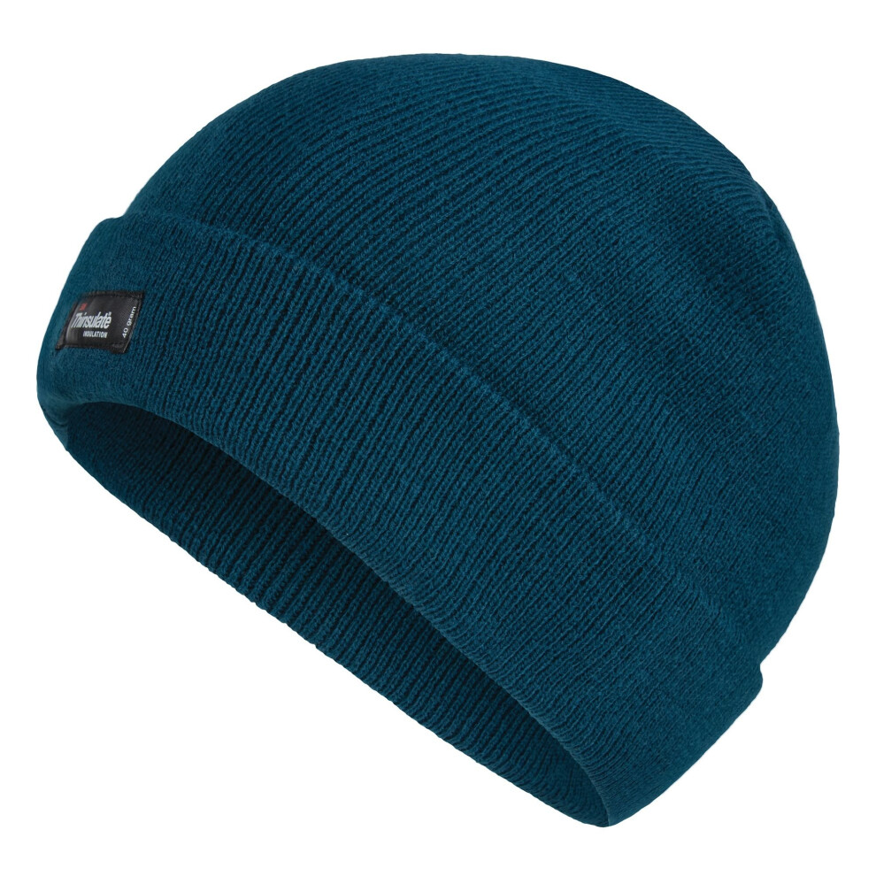 (One Size, Moss) Regatta Mens Thinsulate Thermal Winter Hat