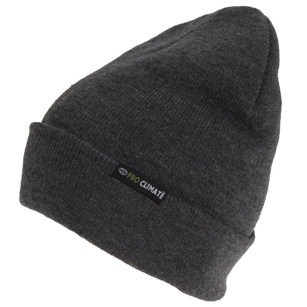 3M (One Size, Grey) Thinsulate Adults Pro Climate Beanie