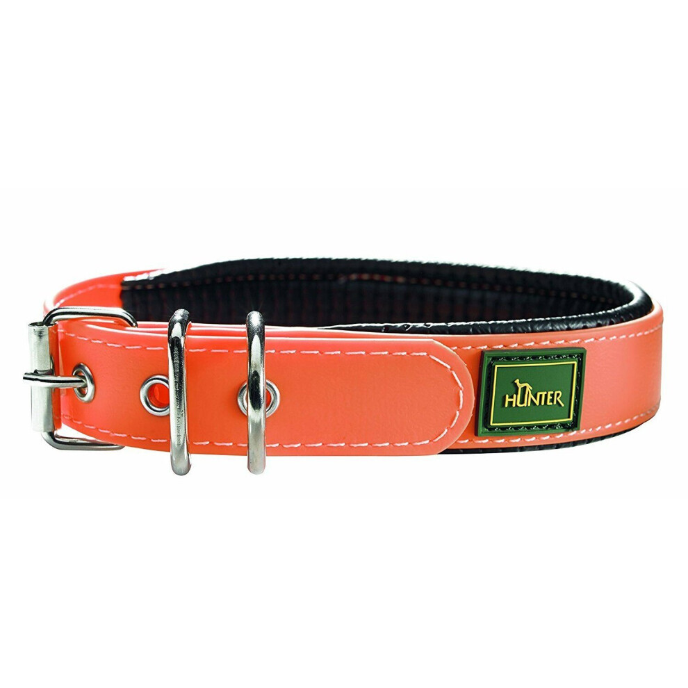 (Neon Orange, 20mm x 35cm) Hunter Convenience Comfort Collar