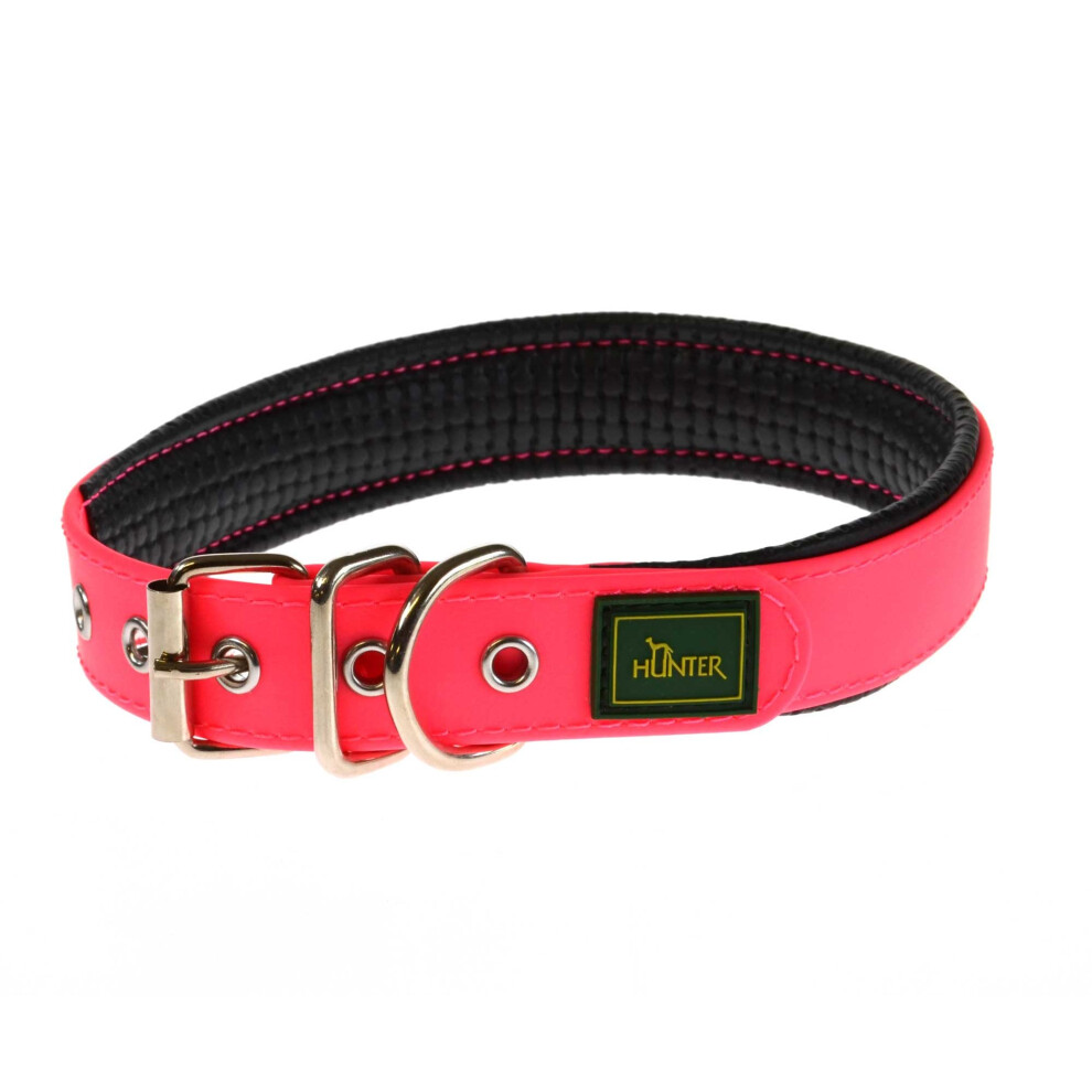 (Neon Pink, 20mm x 40cm) Hunter Convenience Comfort Collar