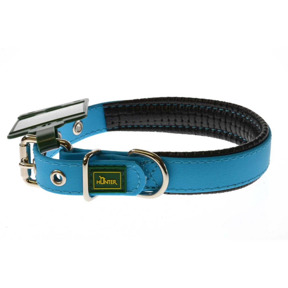 (Neon Turquoise , 20mm x 40cm) Hunter Convenience Comfort Collar