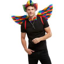 Womens Mens Adults Rainbow Feather Wings Fancy Dress Accessory Gay Pride