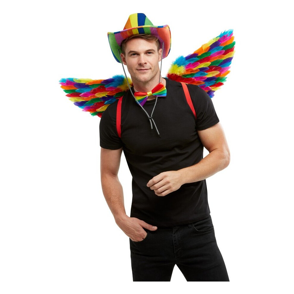 Womens Mens Adults Rainbow Feather Wings Fancy Dress Accessory Gay Pride