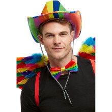 Adult rainbow stetson hat