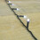 Premier Premier Deluxe Light Set - 52m Multi Action 650 Cool White LED SUPABRIGHTS 4