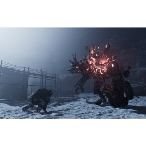 Fade to Silence Play station 4 (PS4) 2