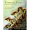 Fantastic Fungi 1