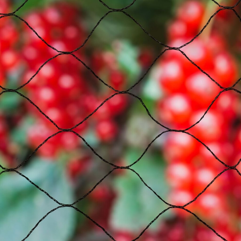 Nature Bird Netting Mesh Protection Veg Crops Plants 10x4 m Black Primo 6030406