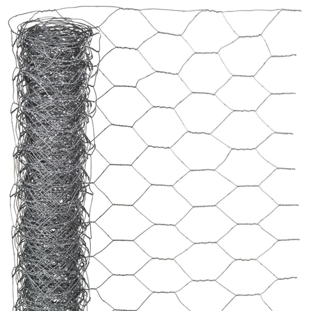 Nature Wire Mesh Fence Aviary Rabbit Chicken 1x10 m Galvanised Steel 6050219