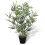 VidaXL vidaXL Artificial Bamboo Tree with Pot 80cm Fake Plant Arrangement Home Decor 1