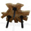 VidaXL vidaXL Genuine Teak Coffee Table 80x70x38cm Accent Side Living Room Furniture 7