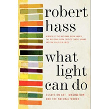 What Light Can Do: Essays on Art, Imagination, and the Natural World