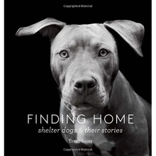 Finding Home: Shelter Dogs and Their Stories