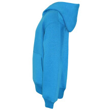(13 Years, Blue) Kids Girls Boys Sweat Shirt Tops Plain Hooded Jumpers Hoodies New Age 2-13 Years